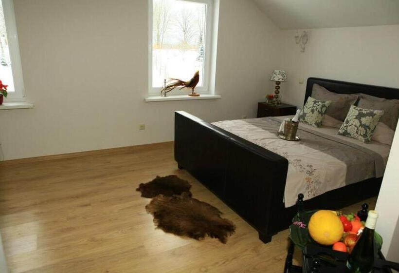 سوییت جونیور, More Guesthouse