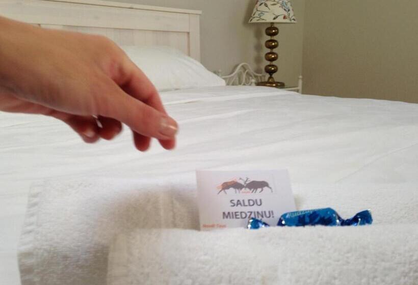 اتاق لوکس, More Guesthouse