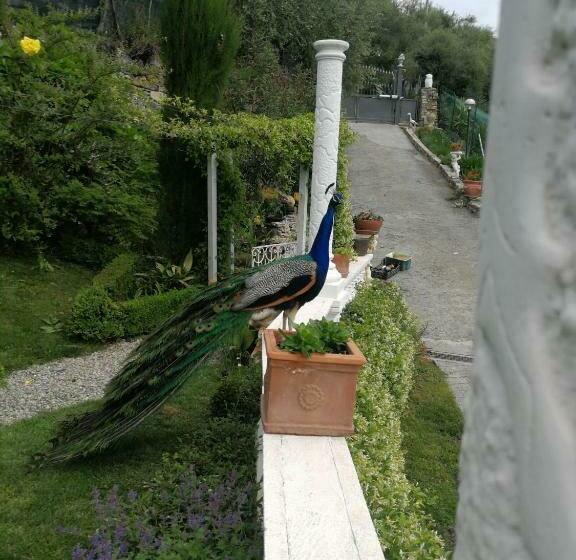 غرفة قياسية, Villa Anna