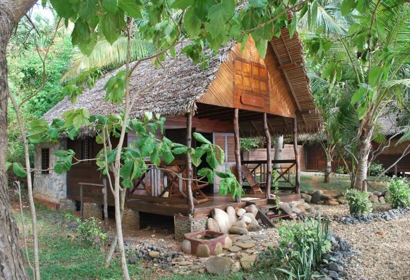 بانگلوی سوپریور, Ankazoberavina