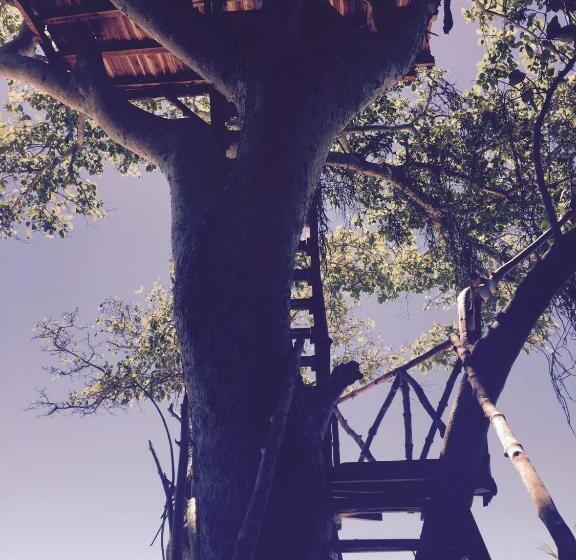 خانه 1 خوابه, Ankazoberavina