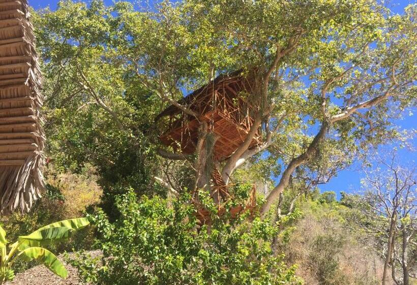 خانه 1 خوابه, Ankazoberavina