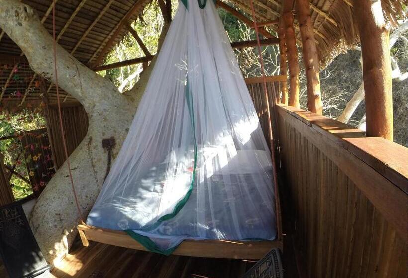 خانه 1 خوابه, Ankazoberavina