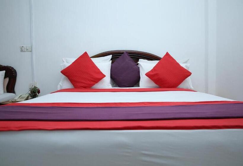 غرفة قياسية فردية, Nelly Star