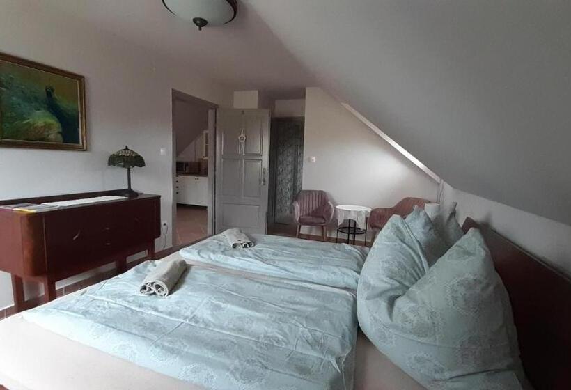 غرفة سوبيريور, Köveskál Panzió