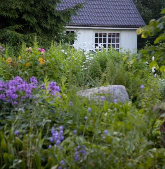 بانگلوی استاندارد, Adami Country Guesthouse