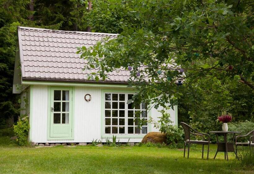 بانگلوی استاندارد, Adami Country Guesthouse