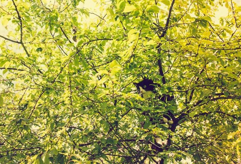 آپارتمان 1 خوابه, Adami Country Guesthouse