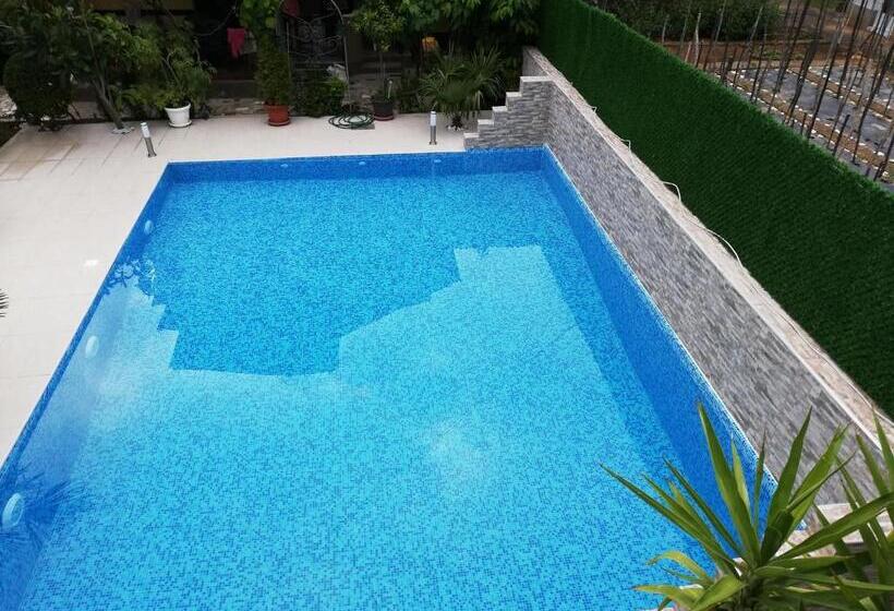 سوئیت جونیور با چشمانداز باغ, Lile Pestani Accommodation