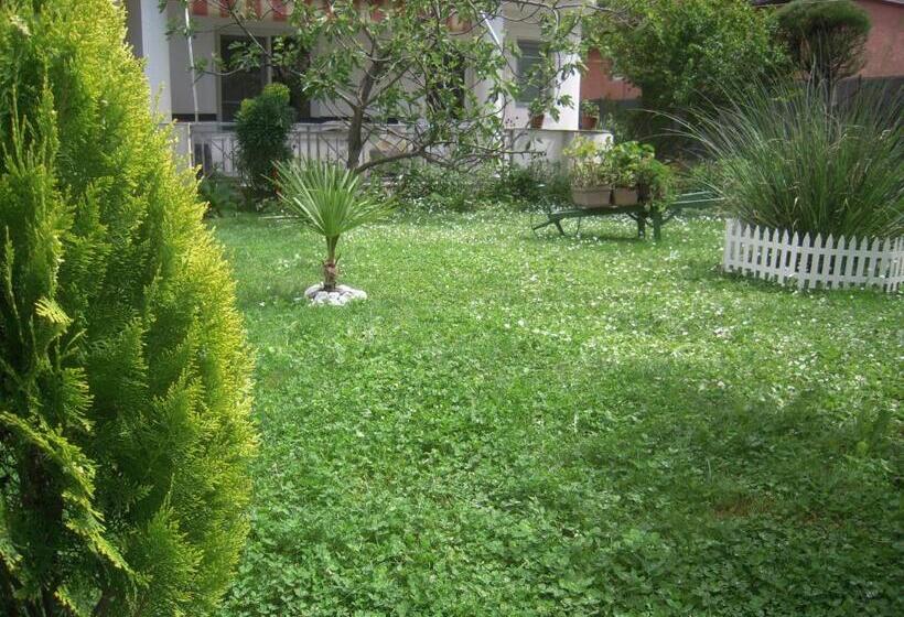 استودیوی استاندارد, Lile Pestani Accommodation