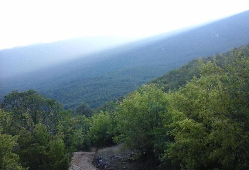 استودیوی استاندارد, Lile Pestani Accommodation