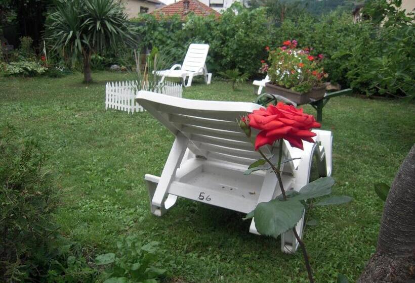 استودیوی استاندارد, Lile Pestani Accommodation