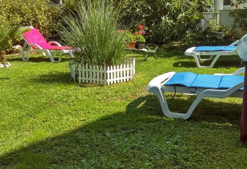 استودیوی استاندارد, Lile Pestani Accommodation