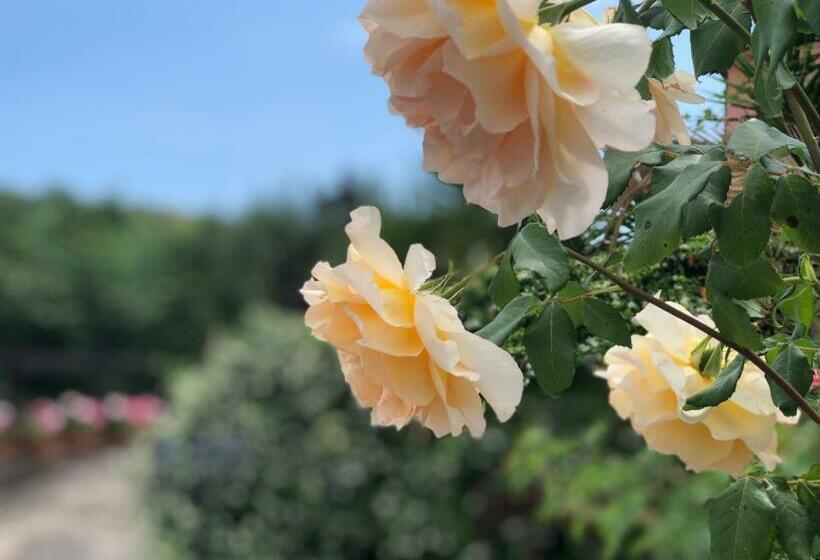 דירת שני חדרים, Podere Morucciola