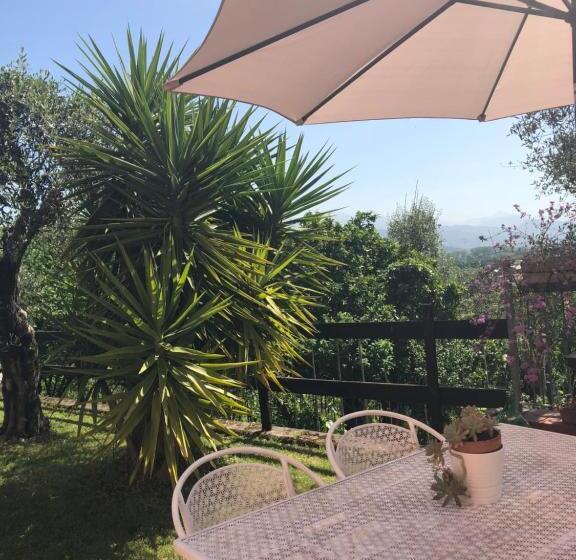 דירת שני חדרים, Podere Morucciola