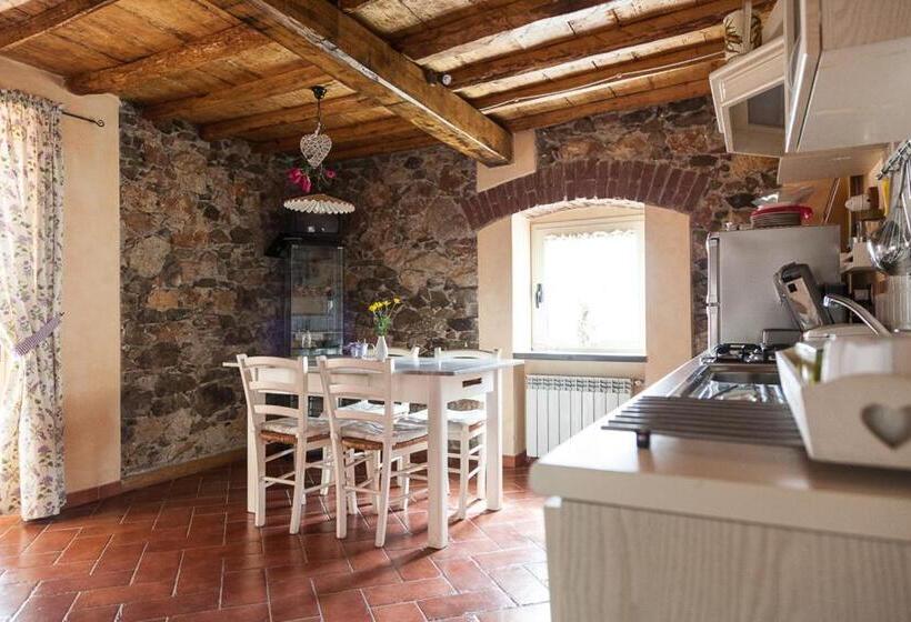 Апартаменты 1 Спальня с Террасой, Podere Morucciola
