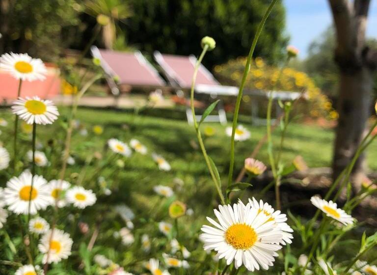 דירת חדר עם טרסה, Podere Morucciola