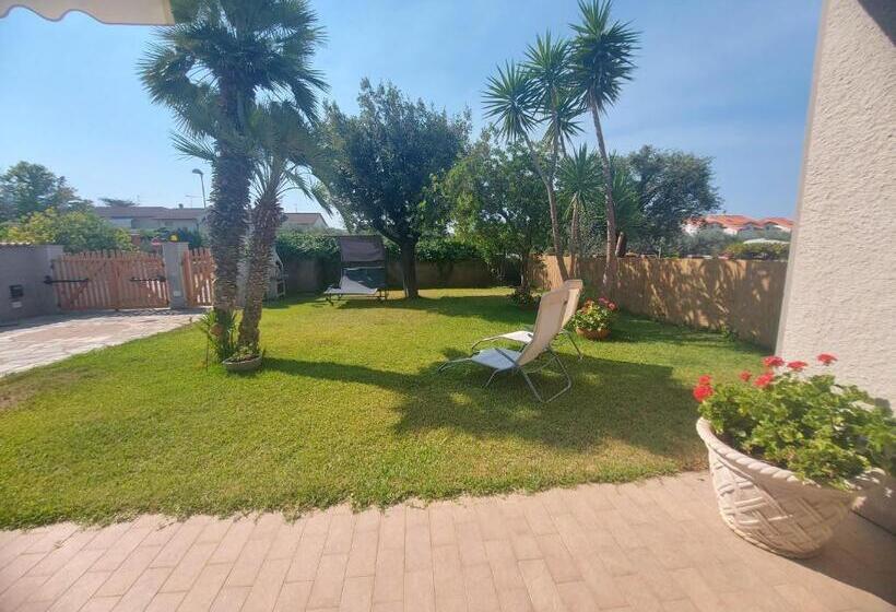 スタンダードスタジオ, Villa Happy Days