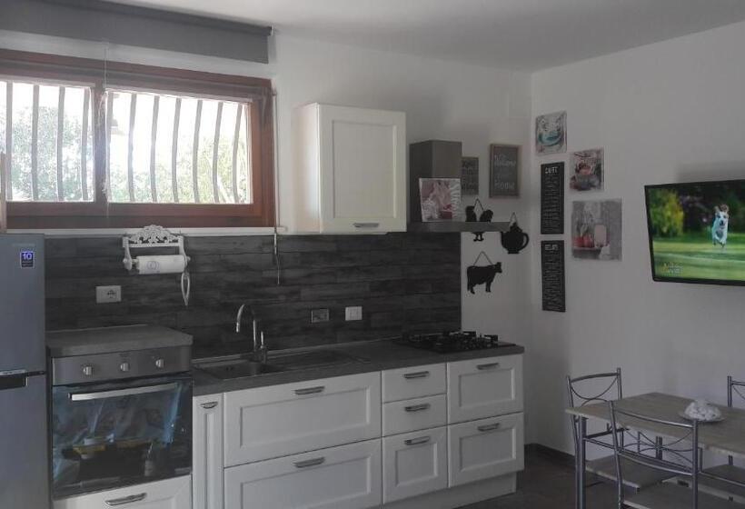 استودیوی استاندارد, Villa Happy Days