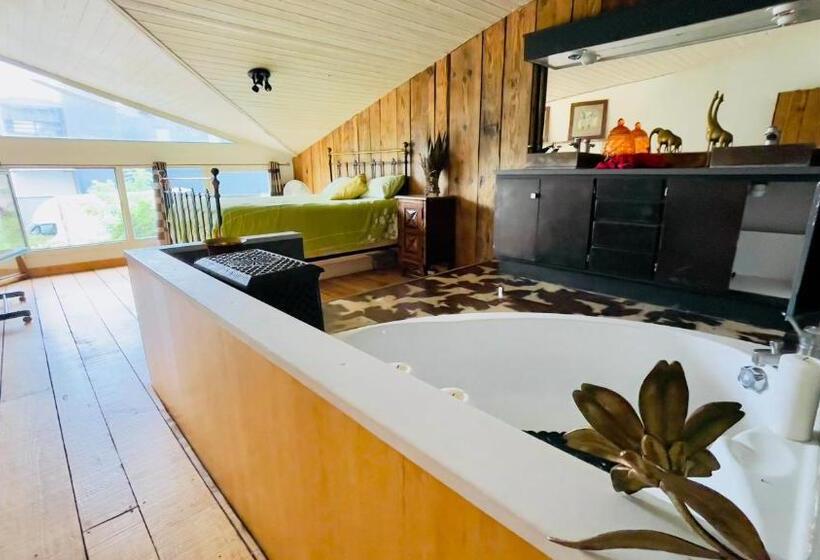 غرفة قياسية, Carwyns Surf House