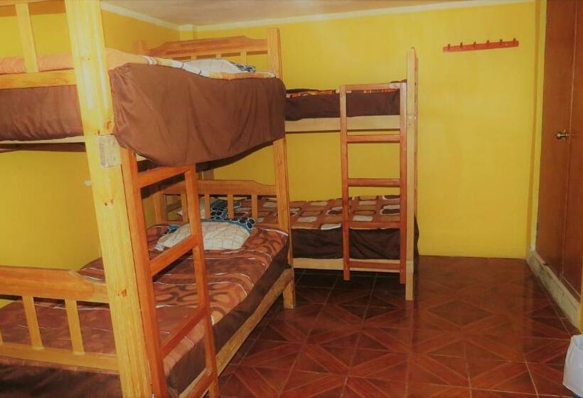 غرفة قياسية رباعية, Nery Lodging