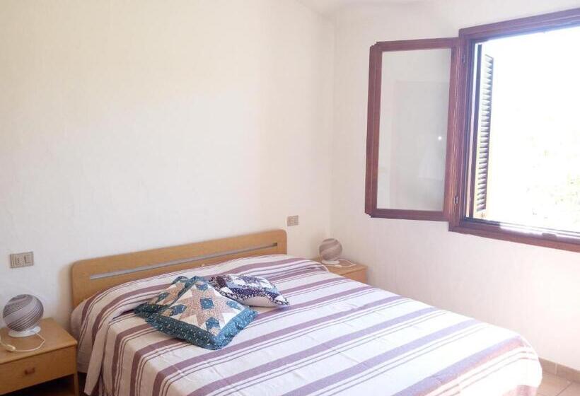 1 Szobás Apartman, Domenique