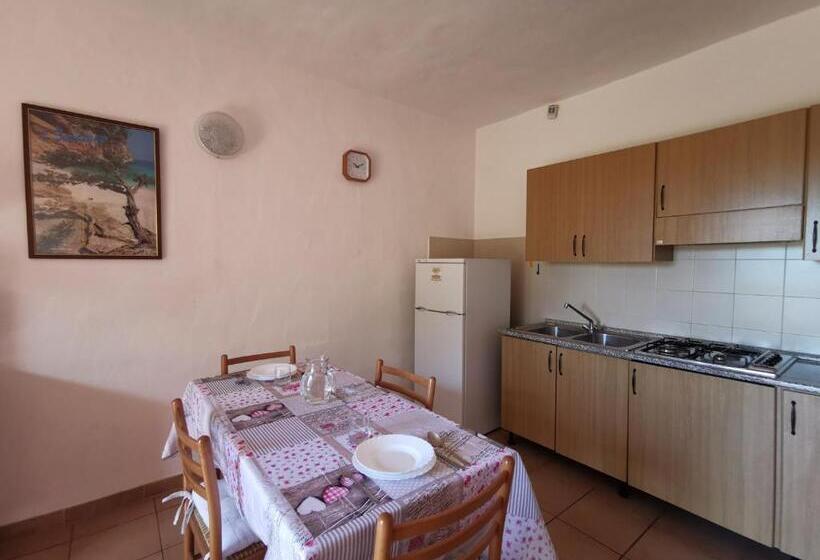 Családi Apartman, Domenique