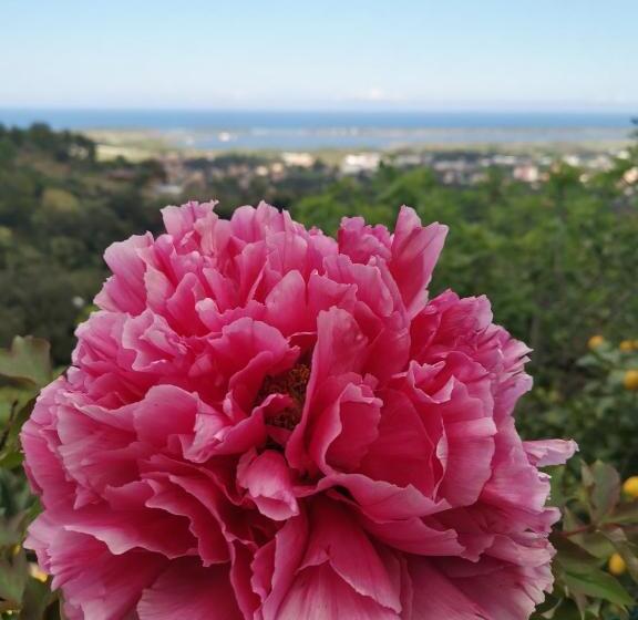 Люкс Вид на Море, Chambres D Hôtes Villa Bella Fiora