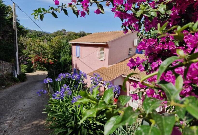 Номер Стандарт Вид на Море с Балконом, Chambres D Hôtes Villa Bella Fiora