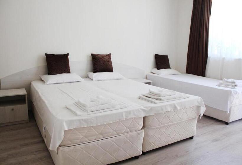 エコノミートリプルルーム, Complex Pika