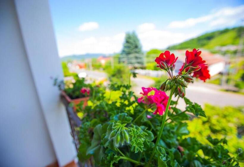 Номер Стандарт Четырехместный Совместный Санузел, Guest House In Drachino