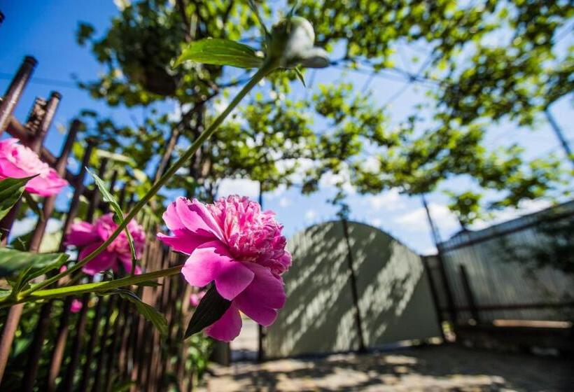 Номер Стандарт Четырехместный Совместный Санузел, Guest House In Drachino