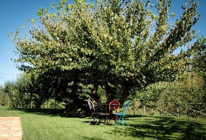 Апартаменты 1 Спальня Вид на Сад, Agriturismo I Gelsi Di Santa Cristina