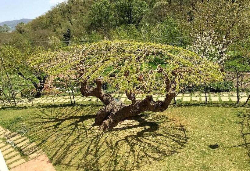 Апартаменты 1 Спальня Вид на Сад, Agriturismo I Gelsi Di Santa Cristina