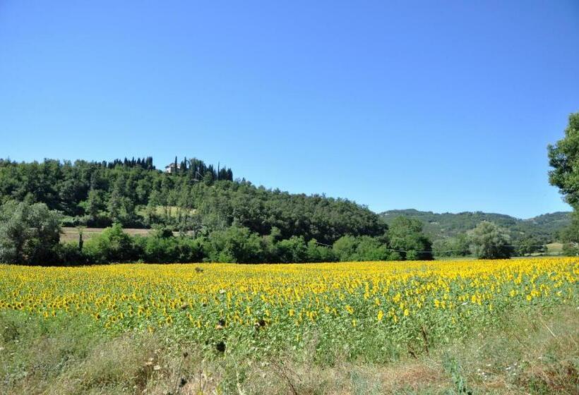 Апартаменты 1 Спальня Вид на Сад, Agriturismo I Gelsi Di Santa Cristina
