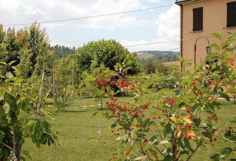 Апартаменты 1 Спальня Вид на Сад, Agriturismo I Gelsi Di Santa Cristina