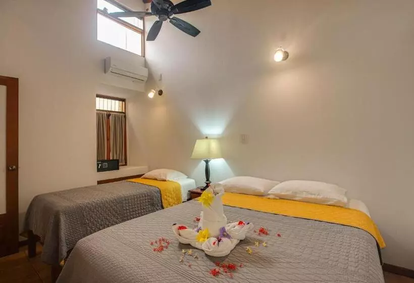 １ベッドルームのスーペリアアパートメント, Apartotel Girasol