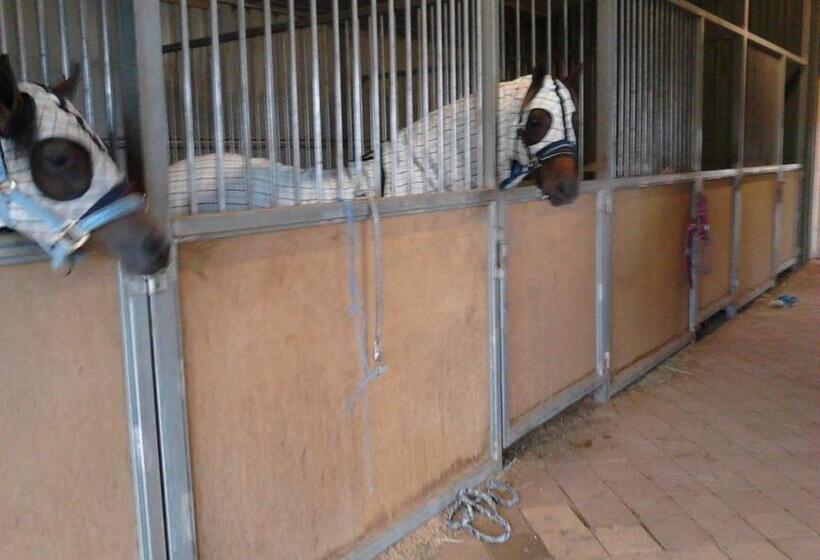 خانه 2 خوابه, Cabarita Lodge