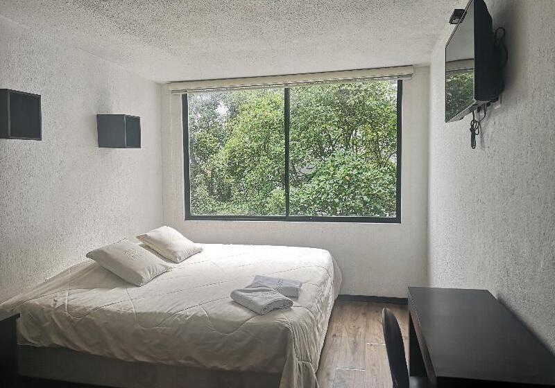 스탠다드 싱글 룸, Bellavista Quito