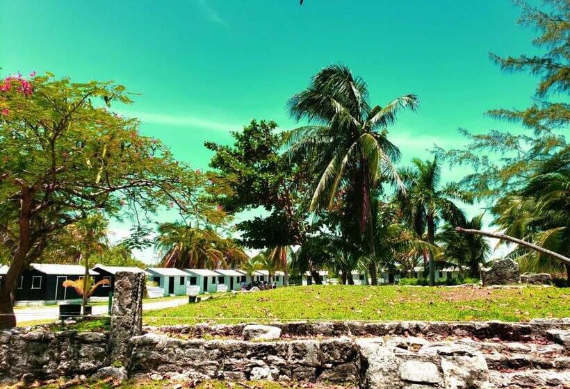 스탠다드 룸, Eco Cabañas Cancún