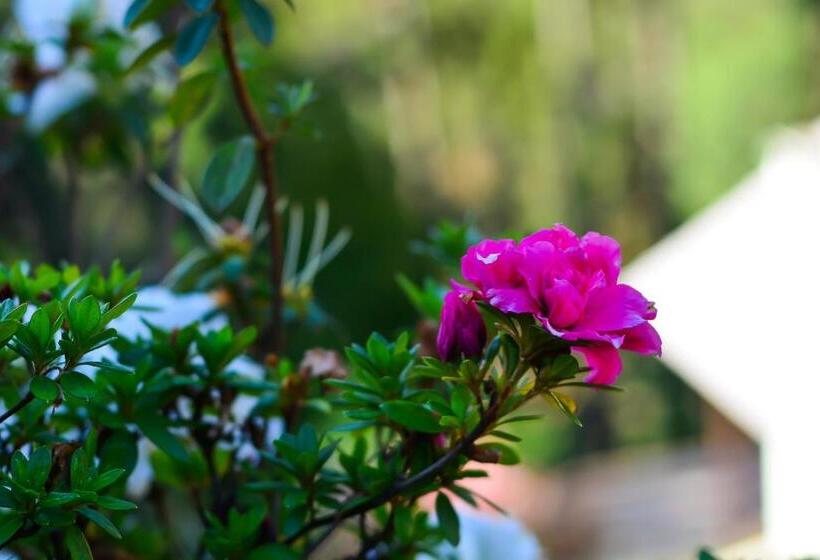 Номер Стандарт, Pousada ágape