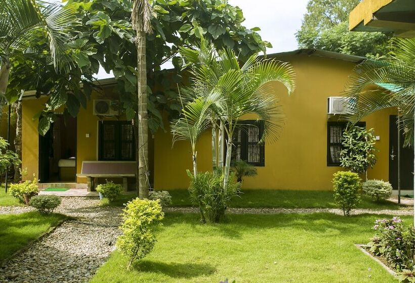 Single Deluxe Room, Sauraha Nana