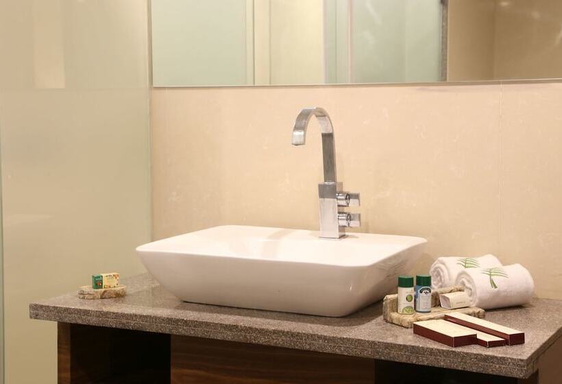 غرفة قياسية, The Fern Residency Mundra