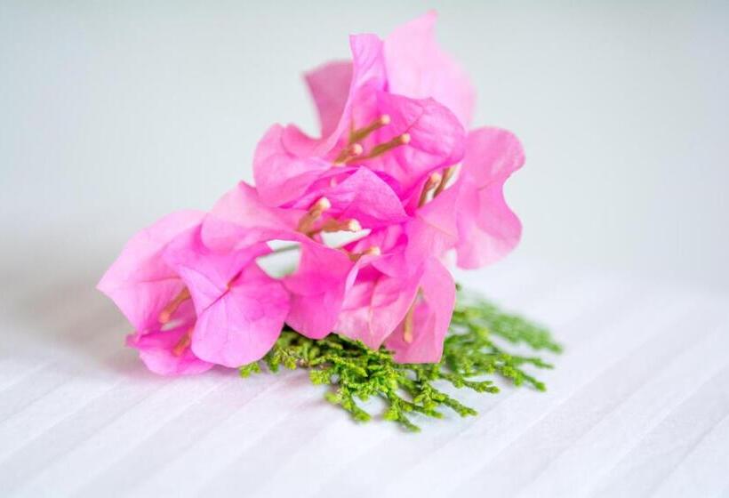 חדר סטנדרט נוף לגינה, Vibration