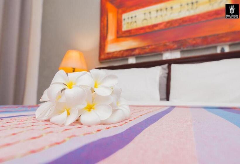 חדר סטנדרט נוף לגינה, Vibration