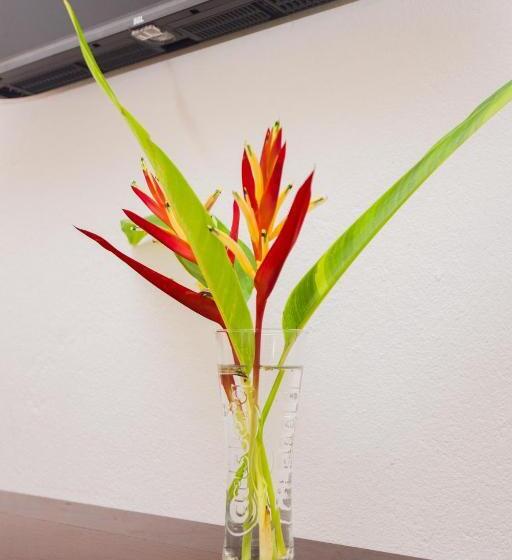 חדר סטנדרט נוף לגינה, Vibration