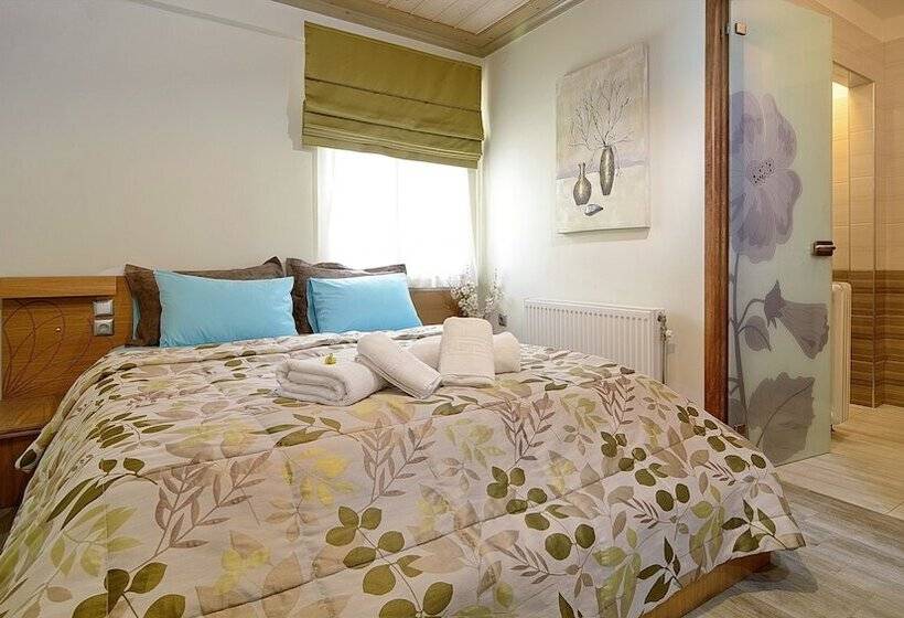 高级工作室, Dilofo Hotel Luxury Suites