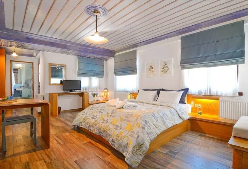 Полулюкс Одноместный с Террасой, Dilofo Hotel Luxury Suites