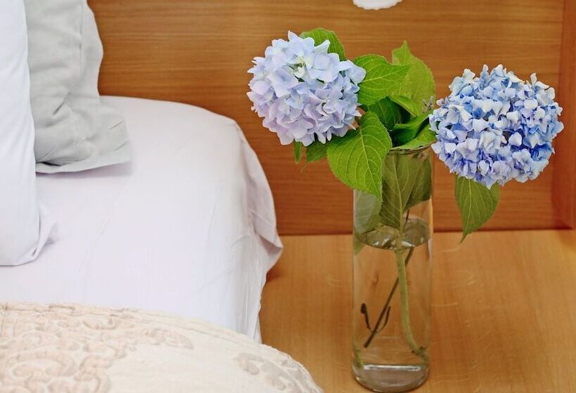 Люкс Повышенной Комфортности, Dilofo Hotel Luxury Suites