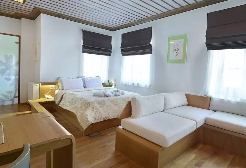 エクゼクティブスイート, Dilofo Hotel Luxury Suites